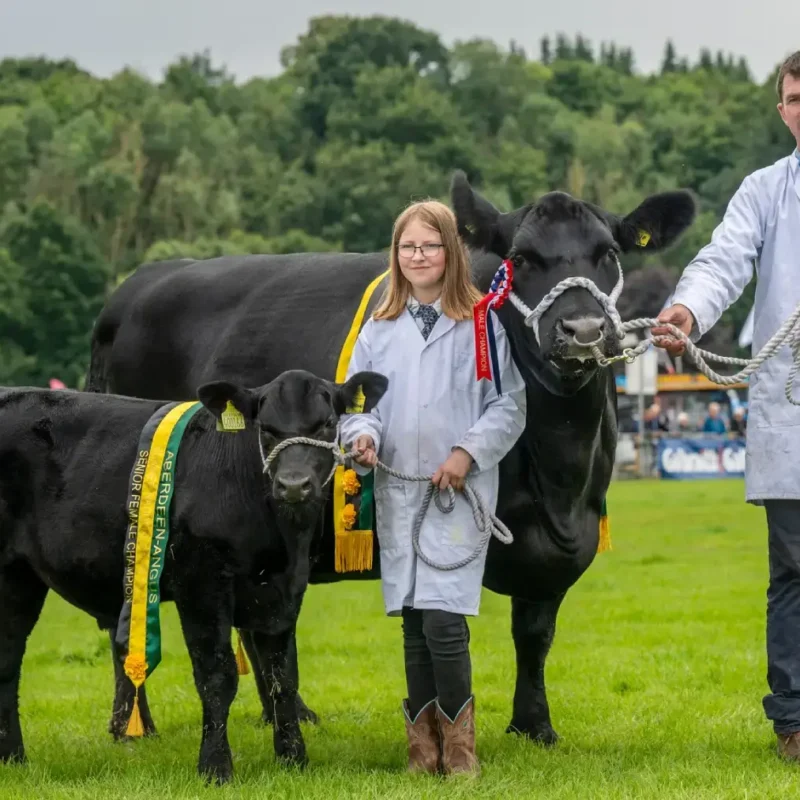 winning bulls at farming awards