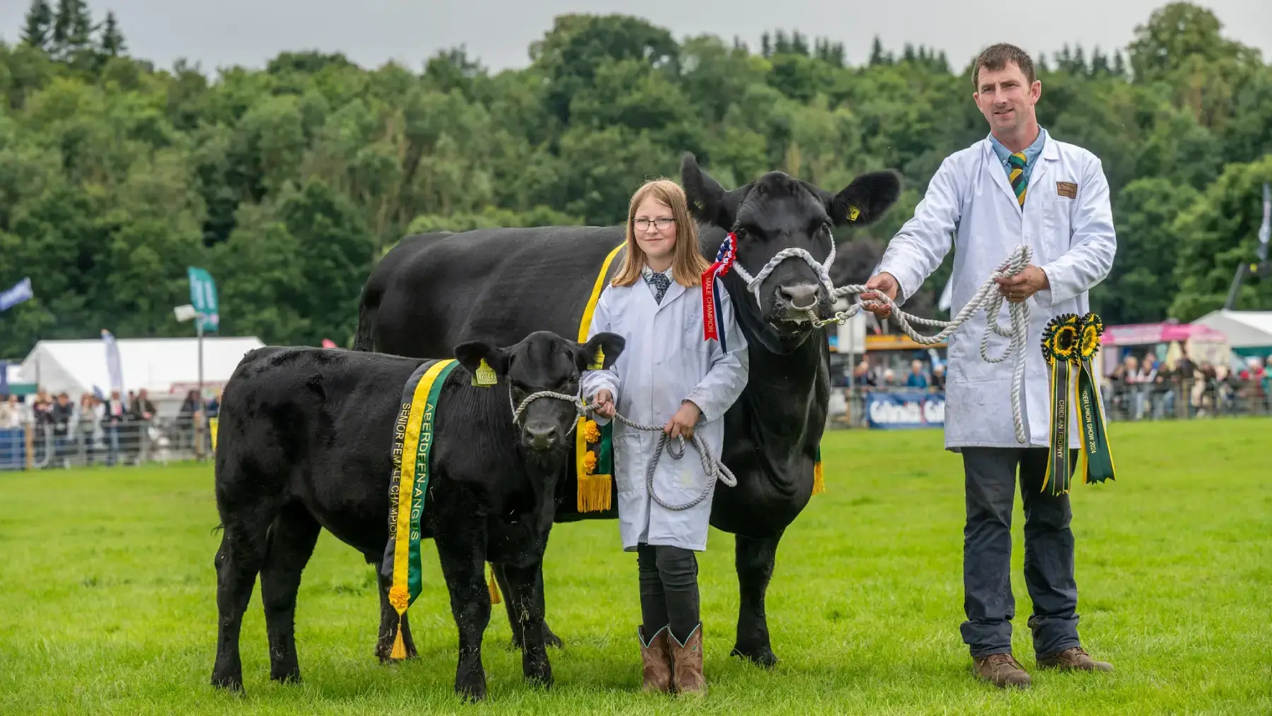 winning bulls at farming awards