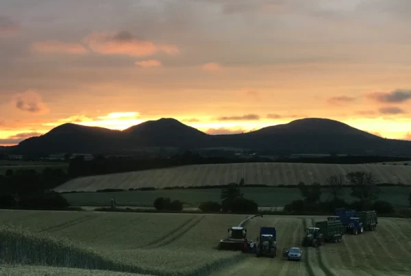 charlesfield farm at sunrise