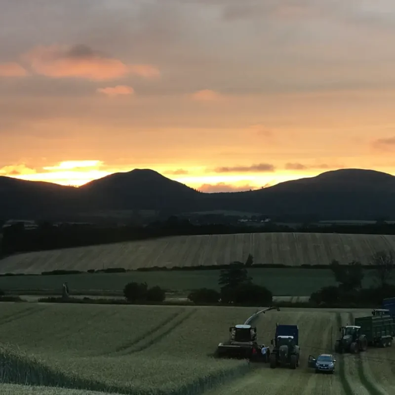 charlesfield farm at sunrise