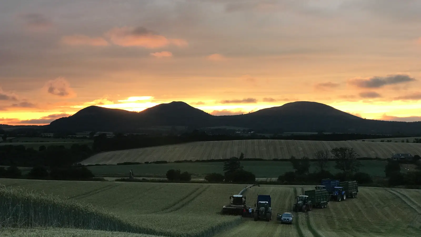 charlesfield farm at sunrise