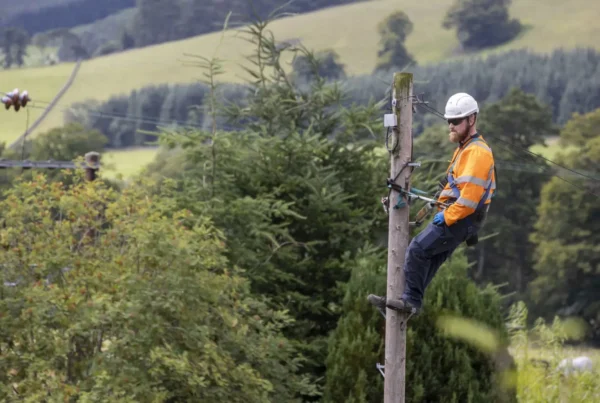 engineer repairing phone line