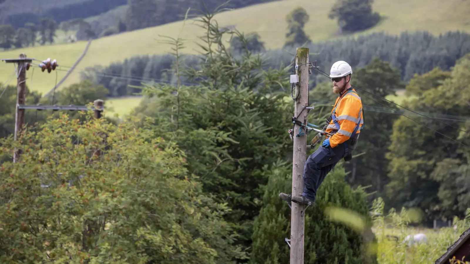 engineer repairing phone line