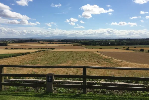 foulden fields