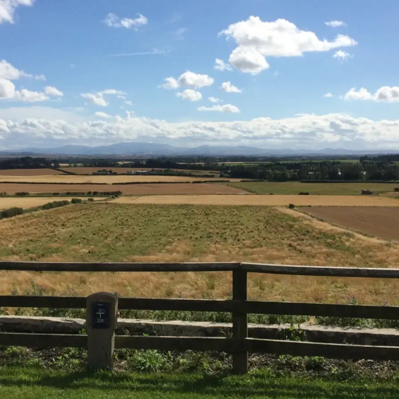 foulden fields