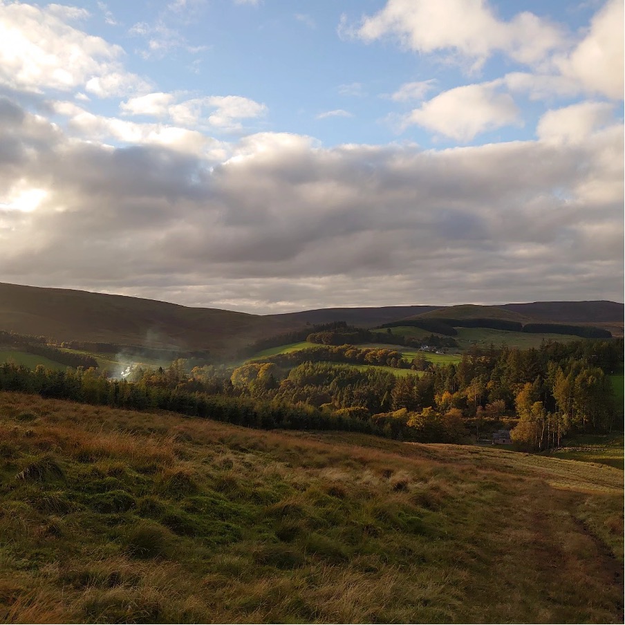 Scotland's Finest Woods Awards